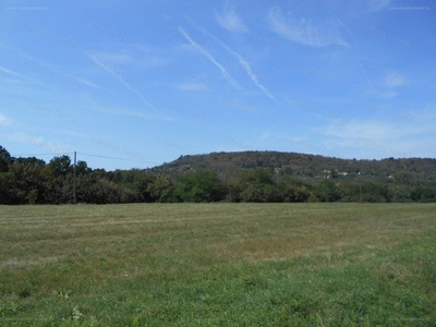 Zalaszántó, ingatlan, telek, 21.000.000 Ft