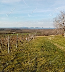 Hács, ingatlan, ház, 80 m2, 15.000.000 Ft