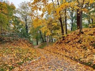 Eladó családi ház Miskolc