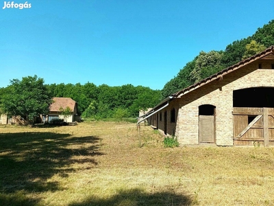 Debrecen közelében lakó ház, 900 nm-es állattartóval eladó, erdőben - Debrecen, Hajdú-Bihar - Tanya