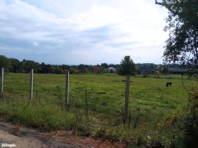 Diósd Árpádházi lakópark mellett zártkerti telek eladó - Törökbálint, Pest - Telek, föld