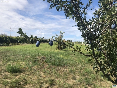 Építési telek Nagylózson - Nagylózs, Győr-Moson-Sopron - Telek, föld