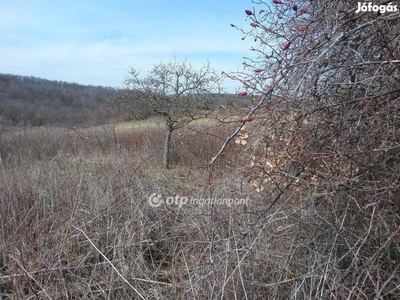 Petőfiszállási 4554 nm-es telek eladó #4083964 - Petőfiszállás, Bács-Kiskun - Telek, föld