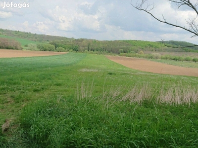 Mezőgazdasági Terület Bükön