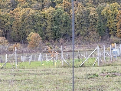 Nagykovácsi, ingatlan, telek, 69.500.000 Ft