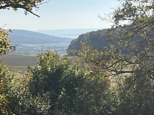 Balatoncsicsón 0,6ha panorámás terület