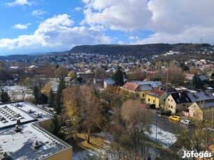 Békásmegyeren alacsony rezsijű, örök panorámás panellakás eladó