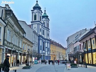 Székesfehérvár, Belváros Szívében,Utcai, Kirakatos , Üzlet Eladó