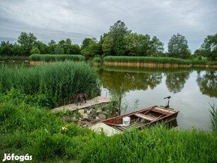 Vállalkozásra Alkalmas Családi Ház Halastóval Eladó