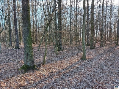 Alsószölnök, Alsószölnök, ingatlan, mezőgazd. ingatlan, 21979 m2, 8.900.000 Ft