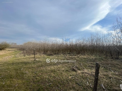 Zsana, ingatlan, mezőgazd. ingatlan, 117088 m2, 19.500.000 Ft