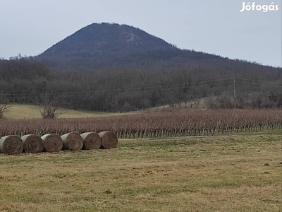 Badacsonytomajon telek eladó