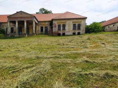 Eladó családi ház Gyugy