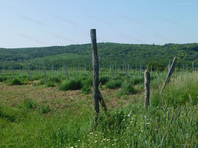 Balatonendréd, ingatlan, ház, 10875 m2, 6.700.000 Ft