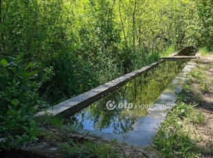 Eladó telek Budakalász, Lovas dűlő