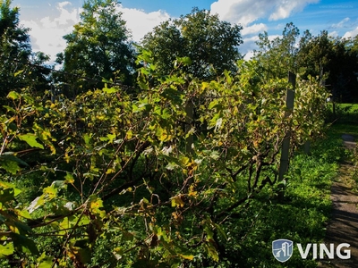 Baktói kiskertek, Szeged, ingatlan, ház, 10 m2, 12.900.000 Ft