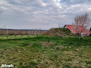 Balatonkenesén 1793 nm telek eladó gyümölcstárolóval 40 M