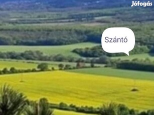 Csendes panorámával a Pilisre, eladó szántó!