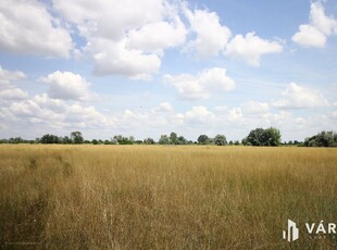 Hódmezővásárhely, ingatlan, telek, 3.000.000 Ft