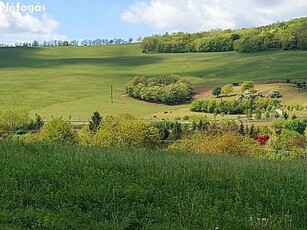 Lulla, Vadvirág utca, 4389 m2-es, telek