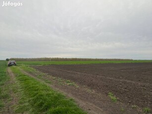 Makó külterületén a Hódmezővásáhelyi út mellett eladó 9 hektár szántó