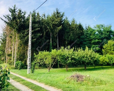 Belezna, ingatlan, mezőgazd. ingatlan, 508 m2, 750.000 Ft