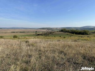 Mezőgazdasági terület Vácduka mellett