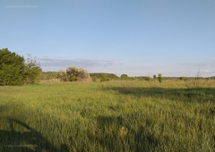 Gyál, ingatlan, mezőgazd. ingatlan, 1685 m2, 5.700.000 Ft