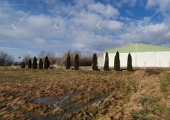 Kenézlő, ingatlan, üzleti ingatlan, 1230 m2, 99.000.000 Ft