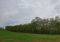 Nincs megadva, Őrbottyán, ingatlan, mezőgazd. ingatlan, 4680 m2, 10.200.000 Ft