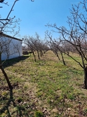 Paks, ingatlan, mezőgazd. ingatlan, 3549 m2, 13.500.000 Ft