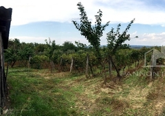 Vanyola, ingatlan, mezőgazd. ingatlan, 3625 m2, 2.400.000 Ft