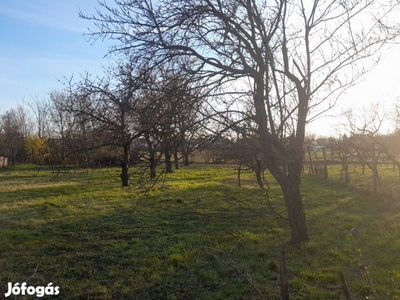 T-003780 székesfehérváron -Maroshegyen, 1000m2-es telek eladó