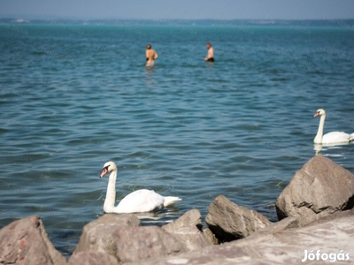 Siófok Ezüstparton eladó új építésű lakás