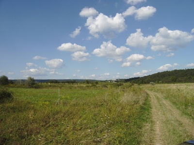 Eladó termőföld, szántó - Budakeszi