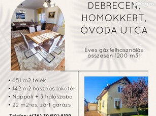 Homokkertben, 2001-ben épült családi ház eladó, 651 m2-es telken