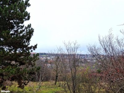 Budapest-Örsödön 3576 m2 panorámás zártkerti ingatlan eladó! - Budaörs, Pest - Telek, föld