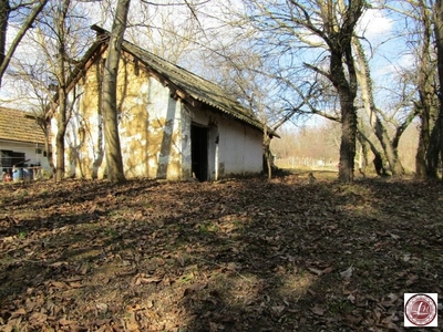 Eladó általános mezőgazdasági ingatlan - Lesencefalu, Veszprém megye