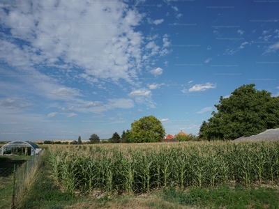 Eladó lakóövezeti telek - Écs, Győr-Moson-Sopron megye