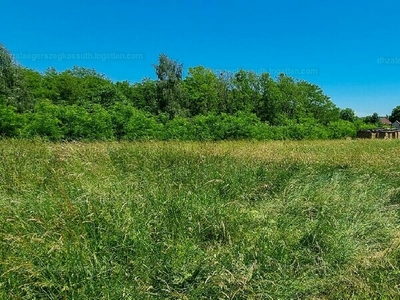 Eladó lakóövezeti telek - Hottó, Fő utca