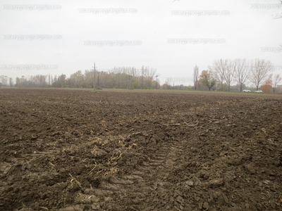 Eladó telek ipari hasznosításra - Győrladamér, Győr-Moson-Sopron megye