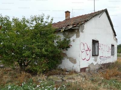 Eladó termőföld, szántó - Egyek, Telekháza