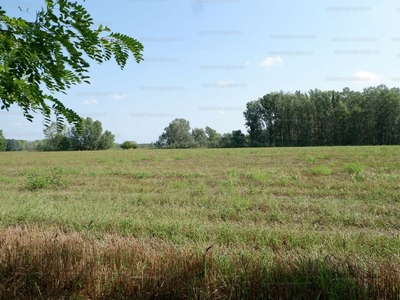 Eladó termőföld, szántó - Pusztamérges, Csongrád-Csanád megye