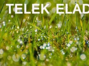 Eladó telekKecskemét