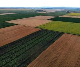 Eladó termőföld, szántó - Békéscsaba