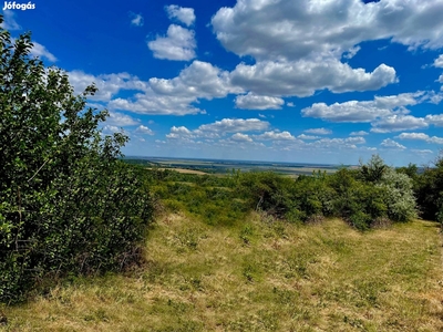 Várpalota Baglyasi Szőlőhegyen Panorámás telek eladó - Várpalota, Veszprém - Telek, föld