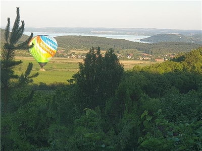 Balaton-felvidék, gyökerek