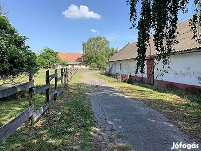 Várszegfarm Lovarda - Egyedi Adottságokkal Megáldott Major Szek 108_ds