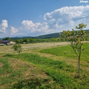 Berkenyei telek - Berkenye, Nógrád - Telek, föld