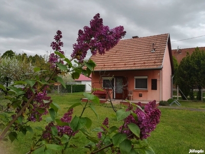 Eladó ház Kiskunfélegyháza - Kiskunfélegyháza, Bács-Kiskun - Ház